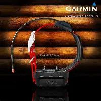 Garmin TT15x GPS Collar