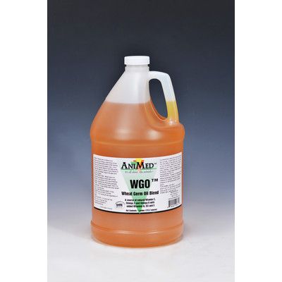 Wheat Germ Oil 1gal
