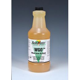 wheat germ oil 32oz