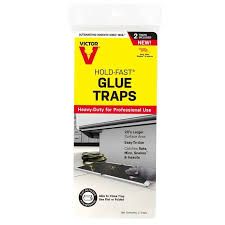 Victor Glue Trap small 2 Each