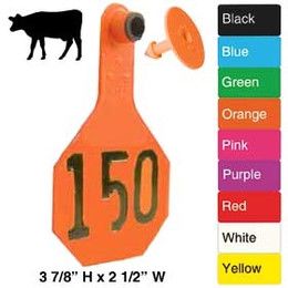 Y Tex Ear Tag 1-25 White Medium #3