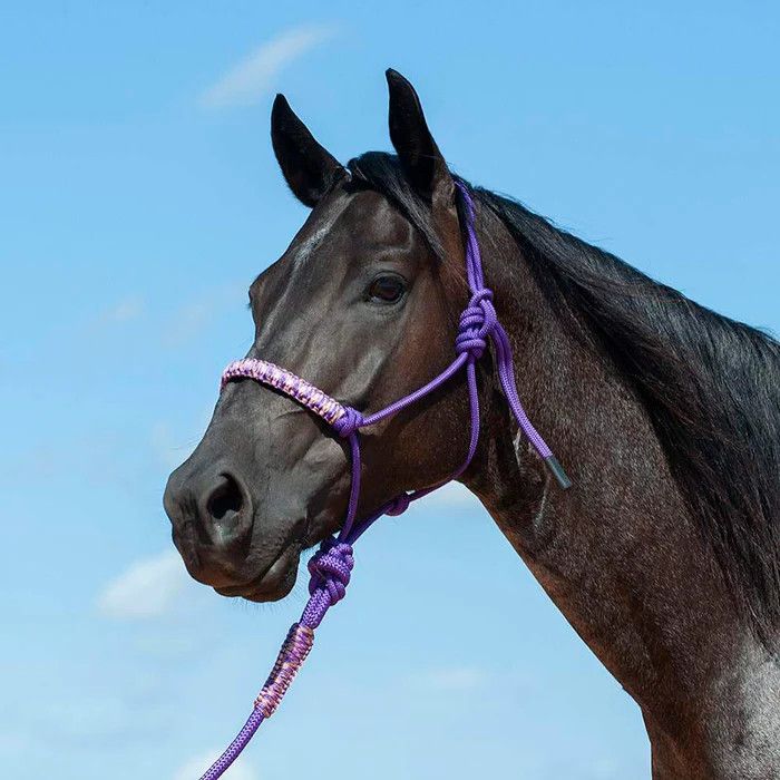 Braided Rope Halter Purple Camo