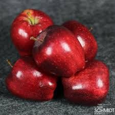 Red Delicious Apple Tree 5 Gallon