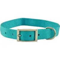 Nylon Dog Collar 1" Teal Blue  21"