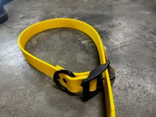 Sunglo Zeta Collar Yellow 1"x20"