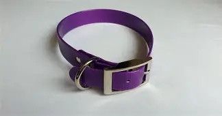 Sunglo Collar 1" x 25" Purple