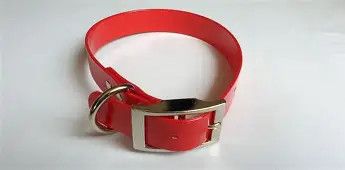 Sunglo Collar 1" x 25" Red