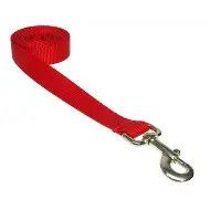 Kennel Nylon Leash 6' Red