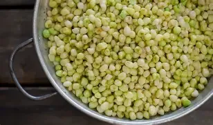 Cream Zipper Pea 1/2#