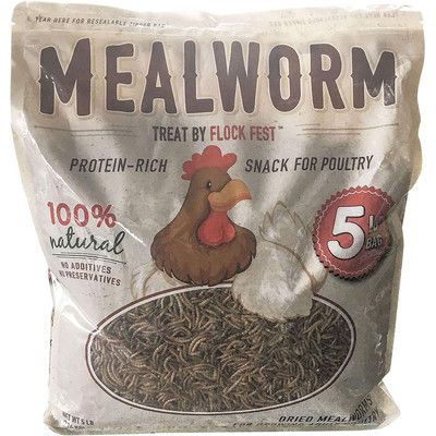 BFT Dried Mealworm 5lb