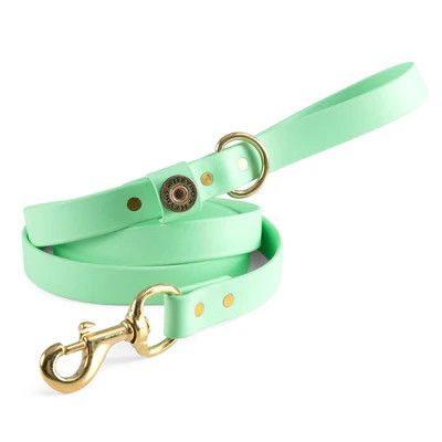 Heybo Biothane Dog Leash Mint
