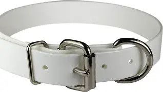 Sunglo 3/4” White Collar 16”
