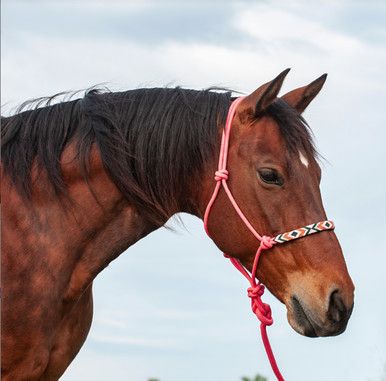 Classic Pink Beaded Rope Halter with 9ft Lead