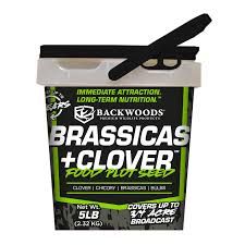 BWA Brassicas + Clover 5# Bucket
