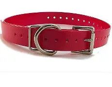 SportDog Collar Red 3/4" Width