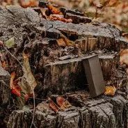 Browning Lithium Battery