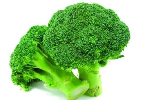 Broccoli .5 Oz Green Sprout