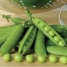 Peas Little Marvel 1/2# Bush