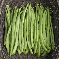 Kentucky Wonder Pole Bean 1/2#
