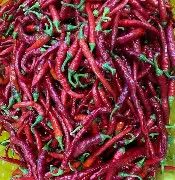 Cayenne Round Thin Pepper .25oz