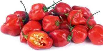 Habanero Red Pepper .25oz