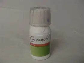 Pastora 5 Oz.