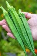 Long Green Pod Okra .5#