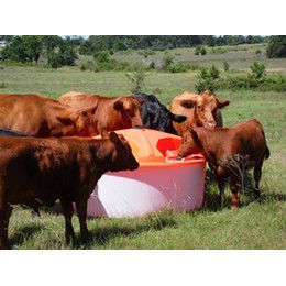 Lick Tank 4 Wheel Maroon 300 Gallon