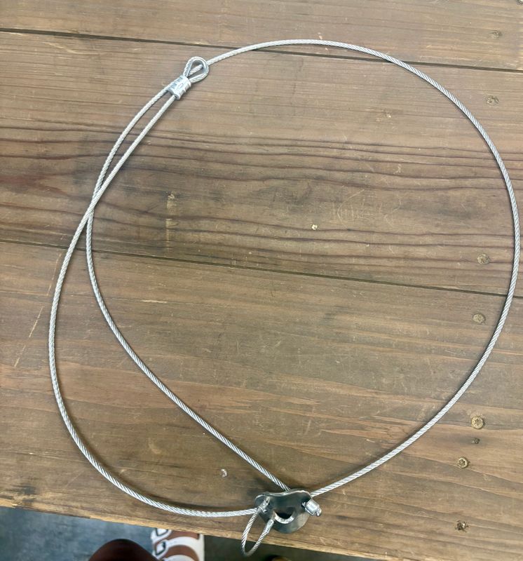 Gator Snares