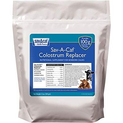 Sav-A-Caf Colostrum Replacer 100 350GM