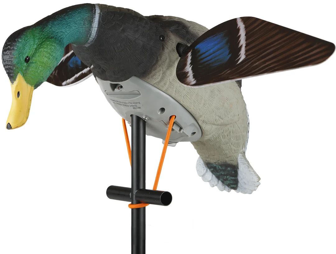 Lucky Duck HD