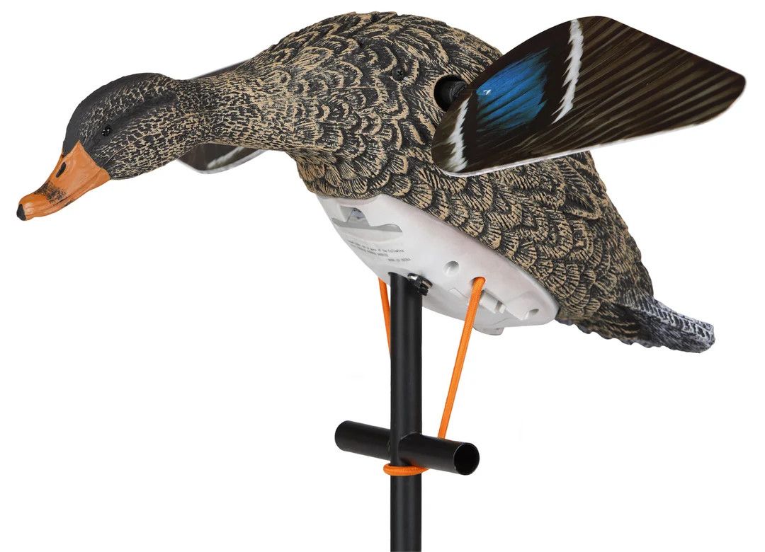 Lucky Duck HD Hen
