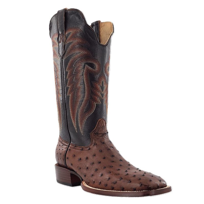 R. Watson Full-Quill Ostrich Tobacco Wide-Square 13" - RW4508