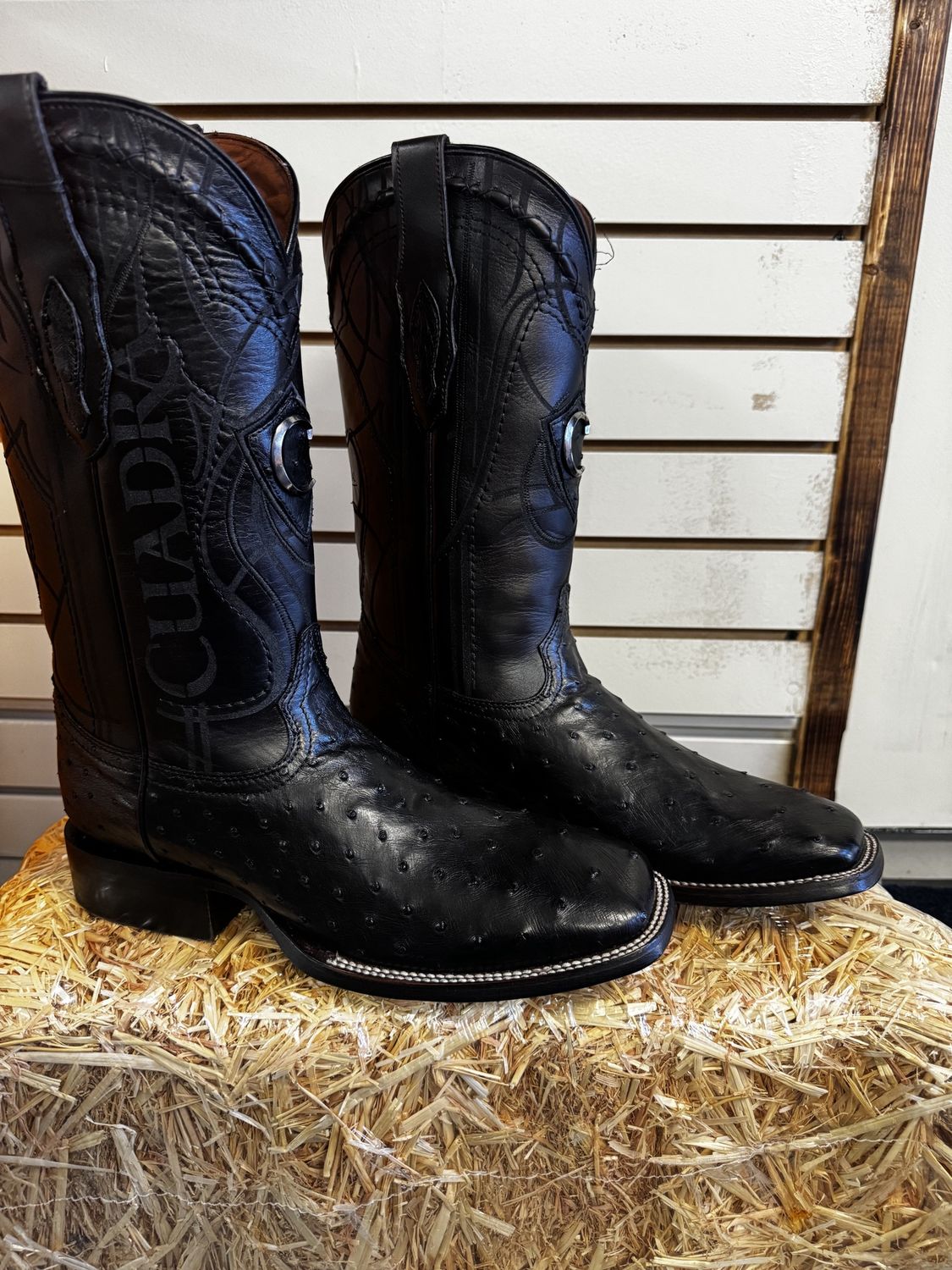 Cuadra  Ostrich Full-Quill Black