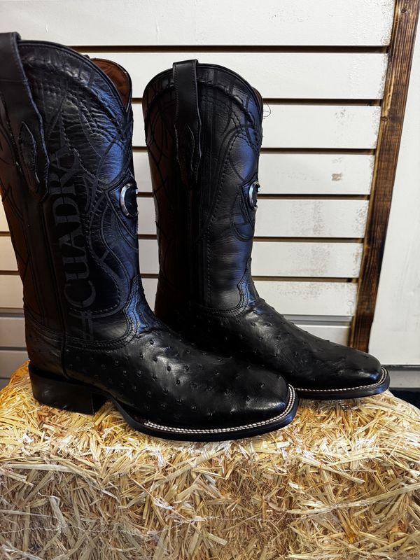 Cuadra  Ostrich Full-Quill Black