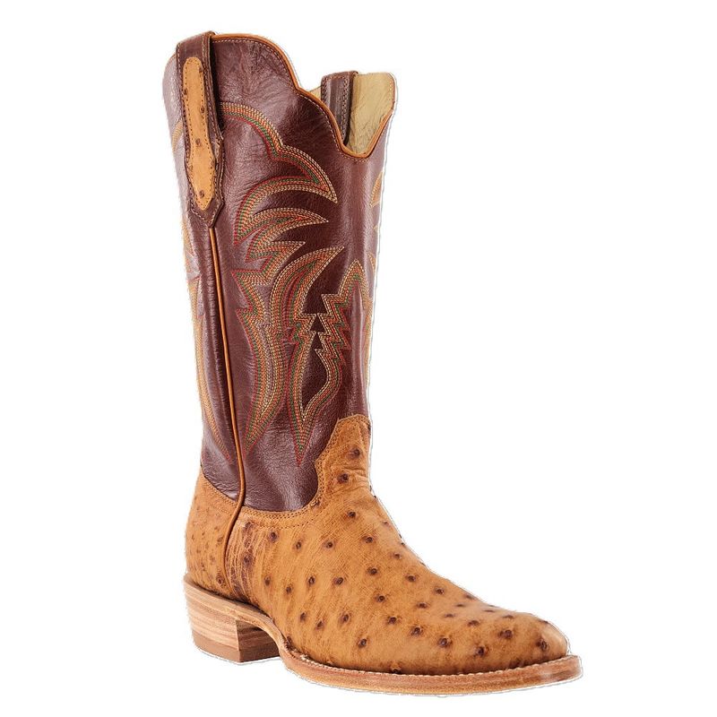 R. Watson Antique Saddle Bruciato Full Quill Ostrich Roper 13″- RW4533
