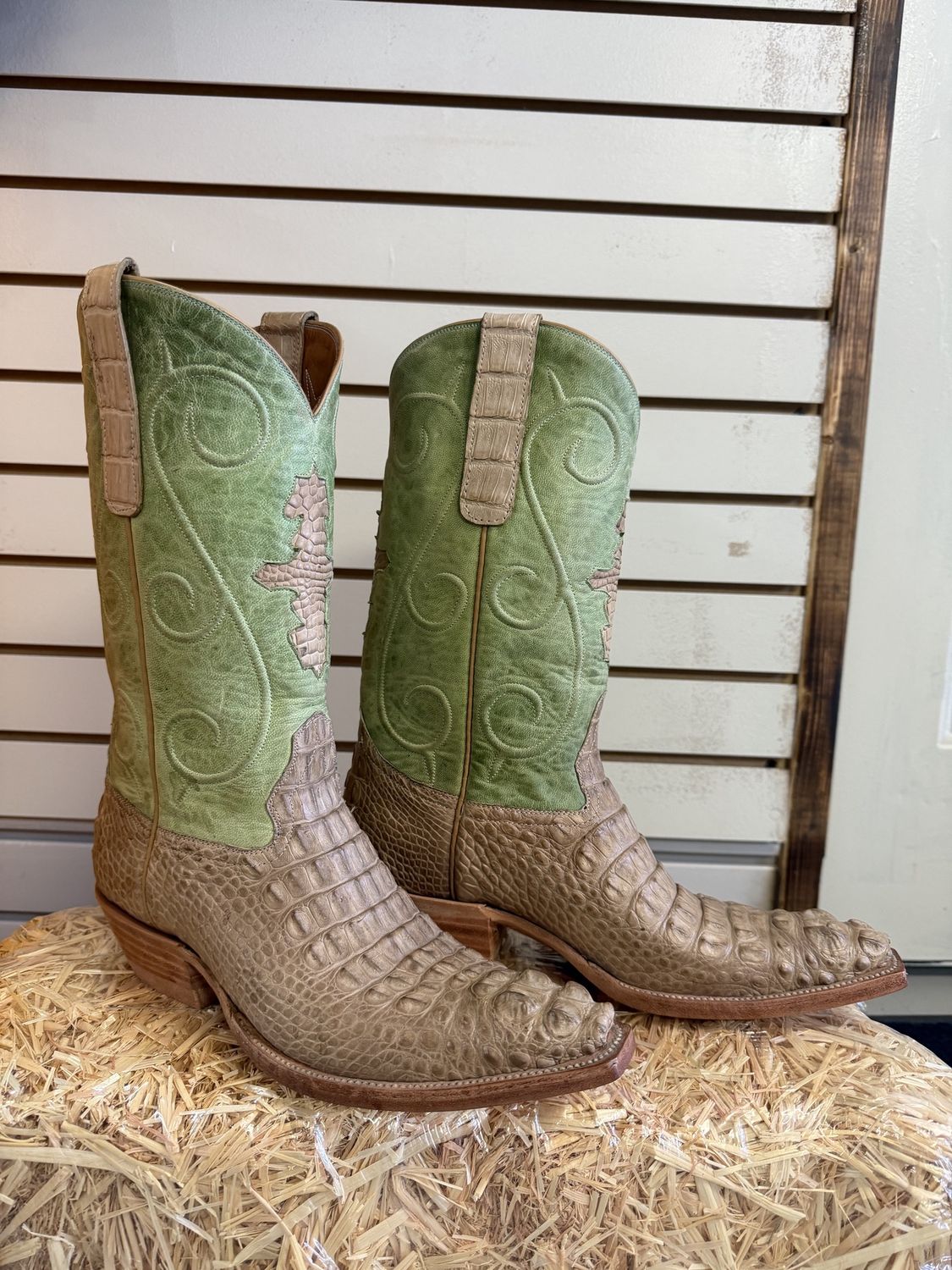 Sand Dune Alligator Horn-back