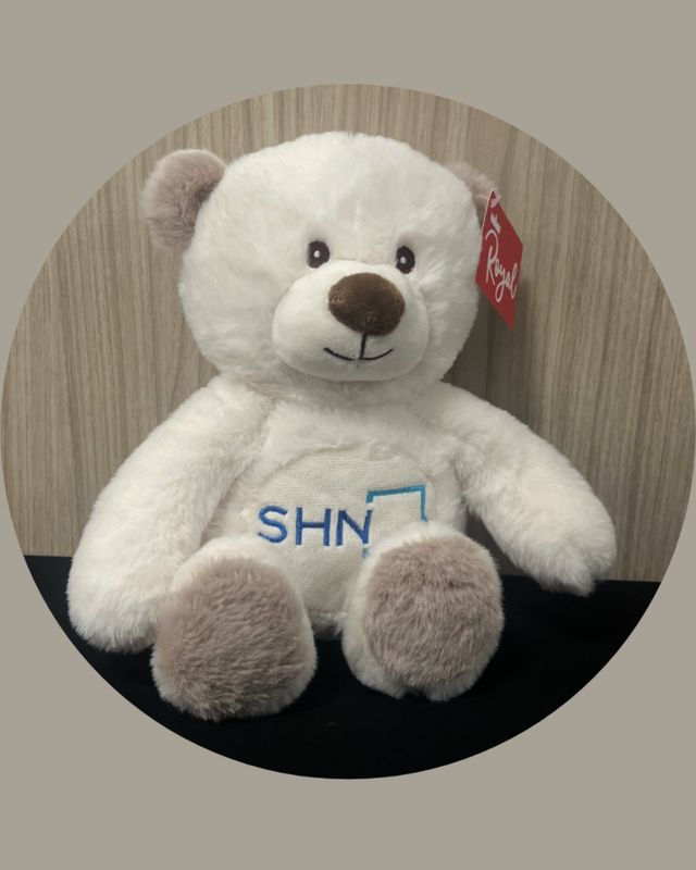 SHN TEDDY BEARS