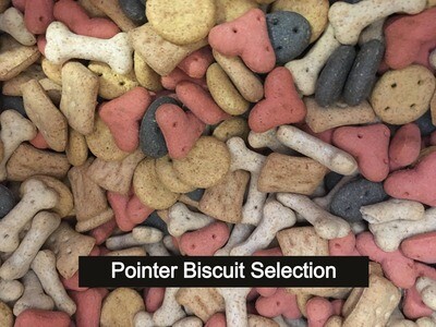 Pointer Biscuit Selection Dog Treat Training Reward