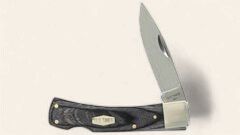 Bruin - 5OTH Heritage Series
