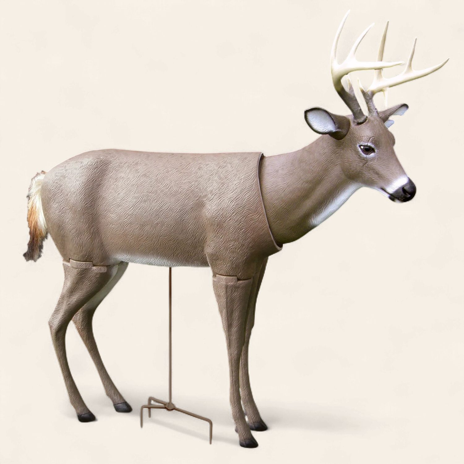 Deer Decoy, Scar, Box