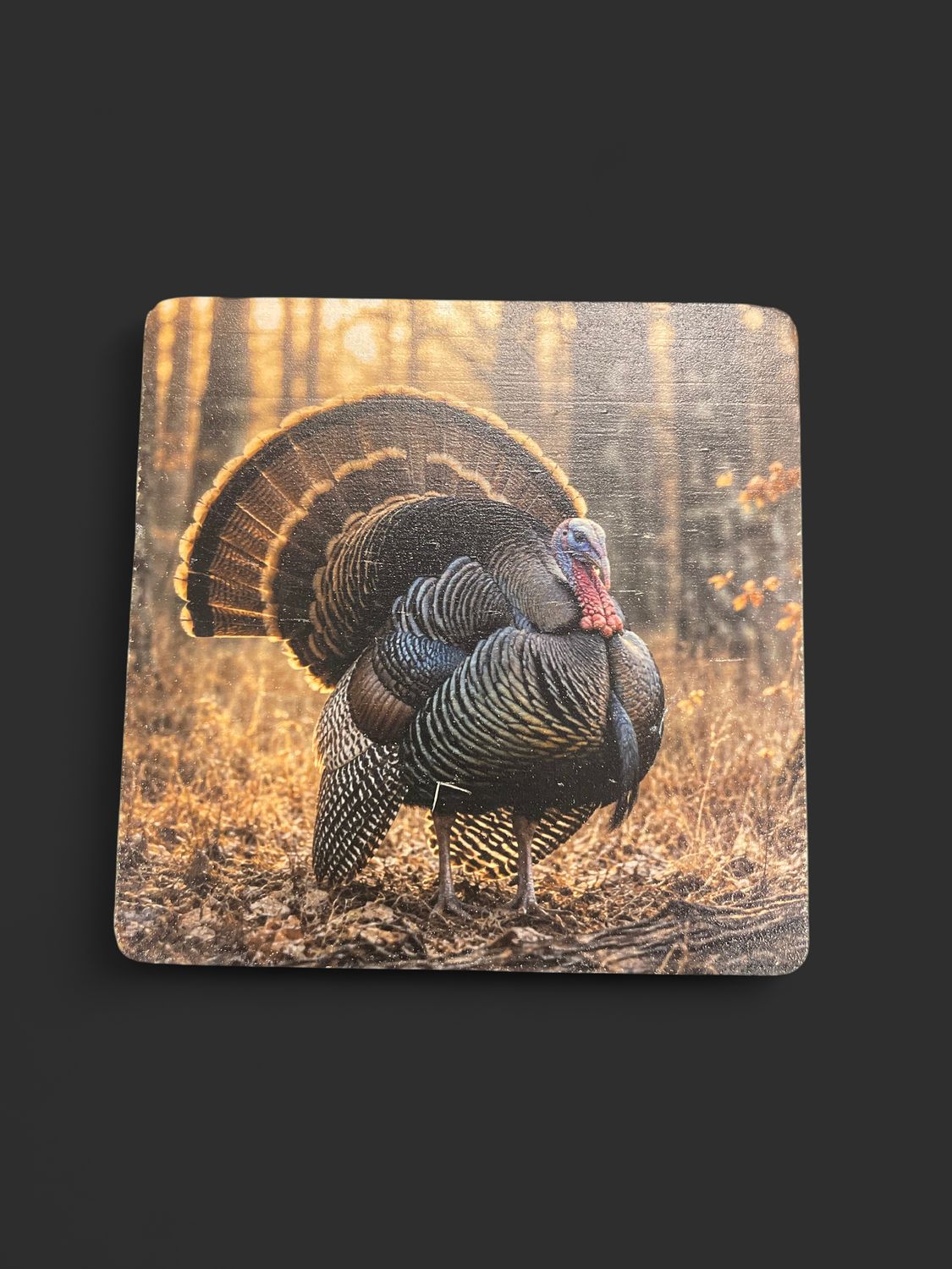Okfuskee Outfitters Coasters, Style: Wild Turkey