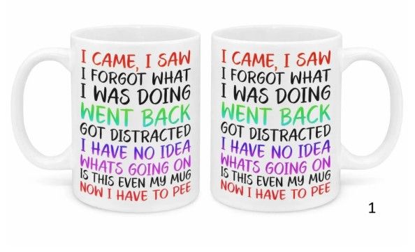 Funny Sarcastic Coffee Mug 11oz – I Came I Saw I Forgot Gift Cup UK