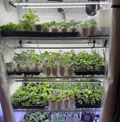 Grow Equipment
