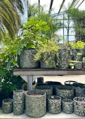 Pots &amp; Planters