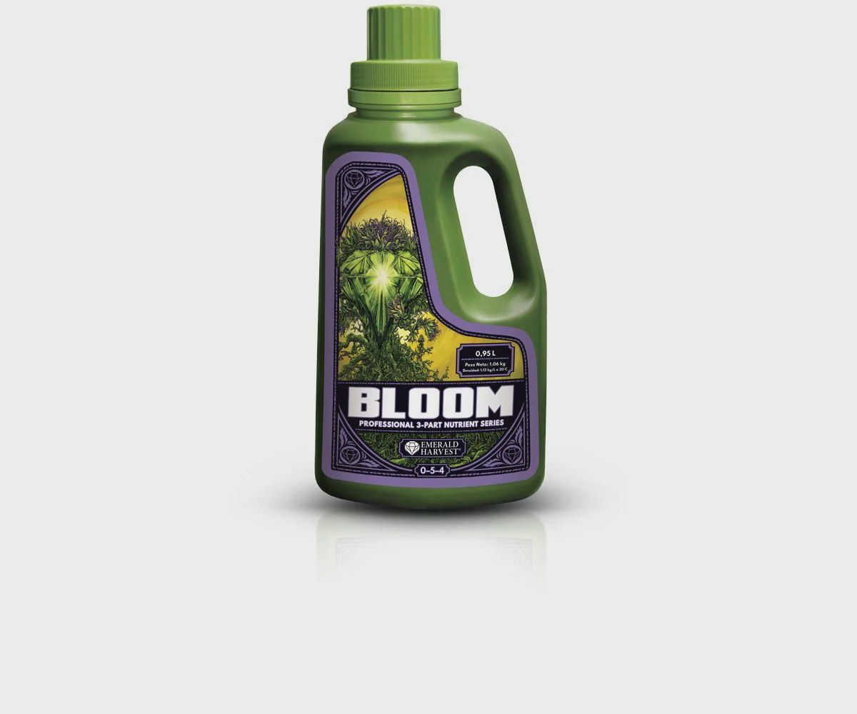 Bloom 1QT