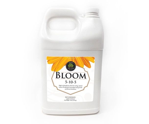 Bloom, 1 gal