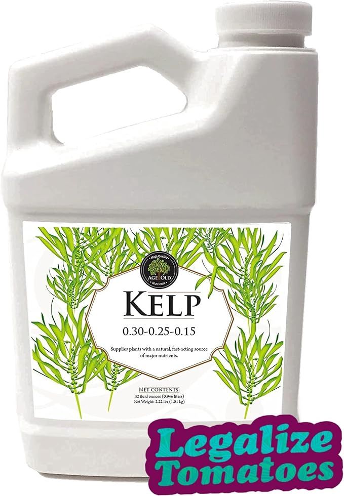 Kelp 32OZ