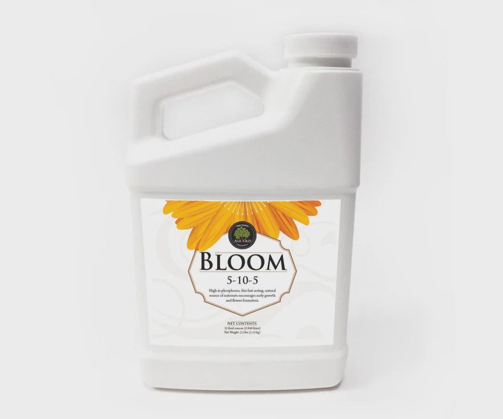 Bloom, 32 oz.