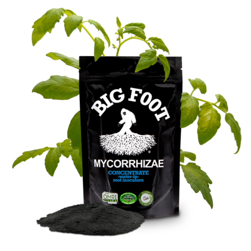 Big Foot 4oz. Mycorrhizae Concentrate